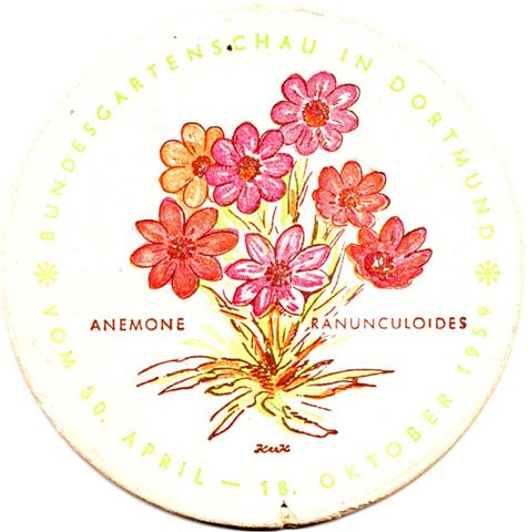 dortmund do-nw kronen buga 1b (rund215-anemone) 